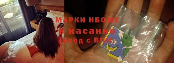 ПСИЛОЦИБИНОВЫЕ ГРИБЫ Белоозёрский