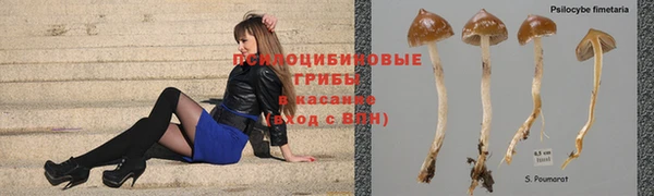 альфа пвп Строитель