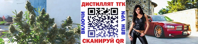 Дистиллят ТГК гашишное масло  Бузулук 